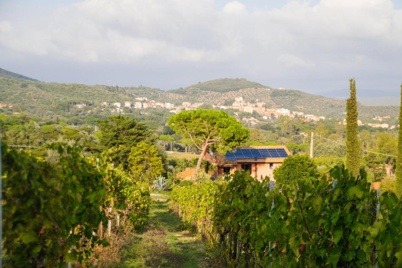 Agriturismo Colle Vento Suvereto Extérieur photo